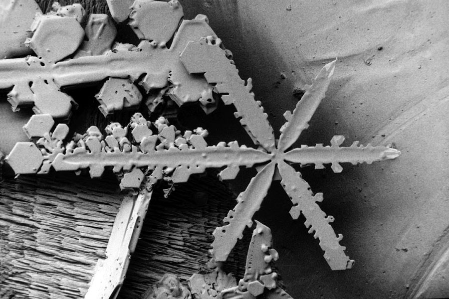 Snowflake Electron Microscope